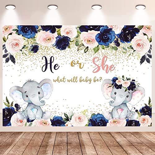 Skystuff Gender Reveal Decorations, He or She Backdrop Banner