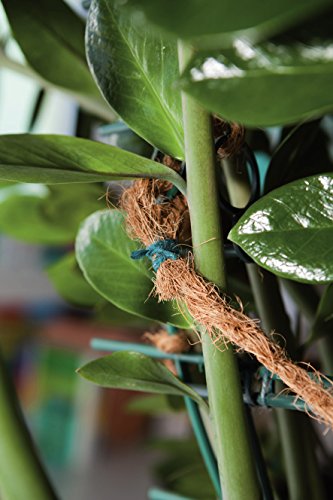 Windhager 06236 Garden String Jute Twine Craft String 70 m x 1.5 mm Green, 70m x 1,5mm - Image 3