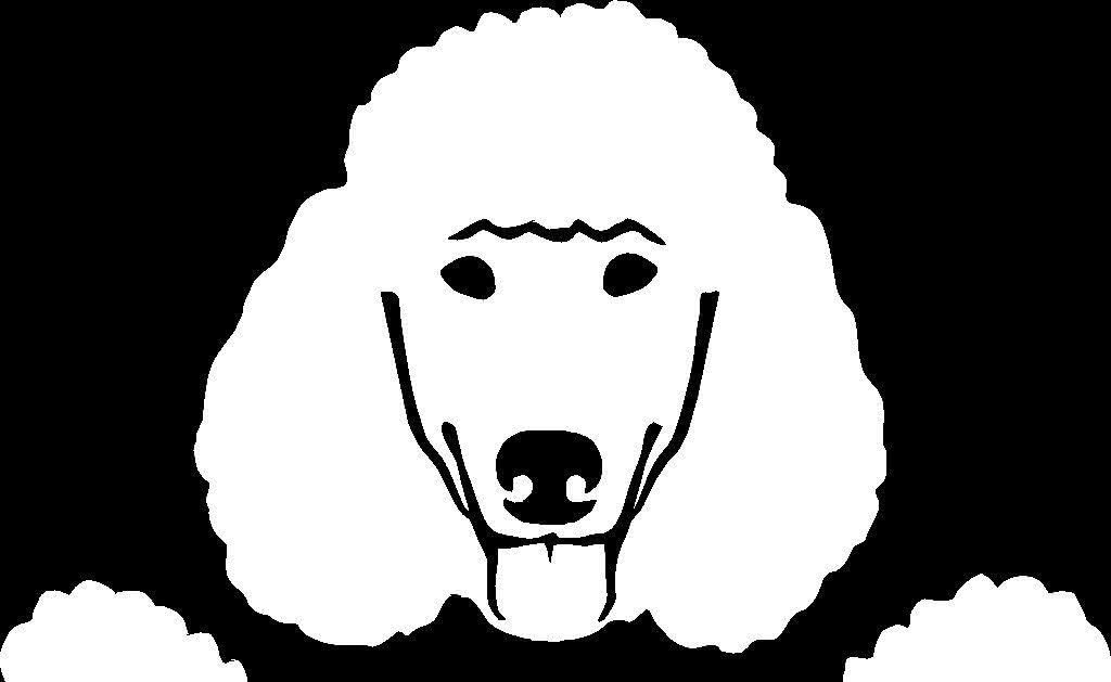 Custom Decal Car for Peeking Poodle Vinyl Decal - Car Truck Laptop Bumper Sticker Decal/White - Image 5