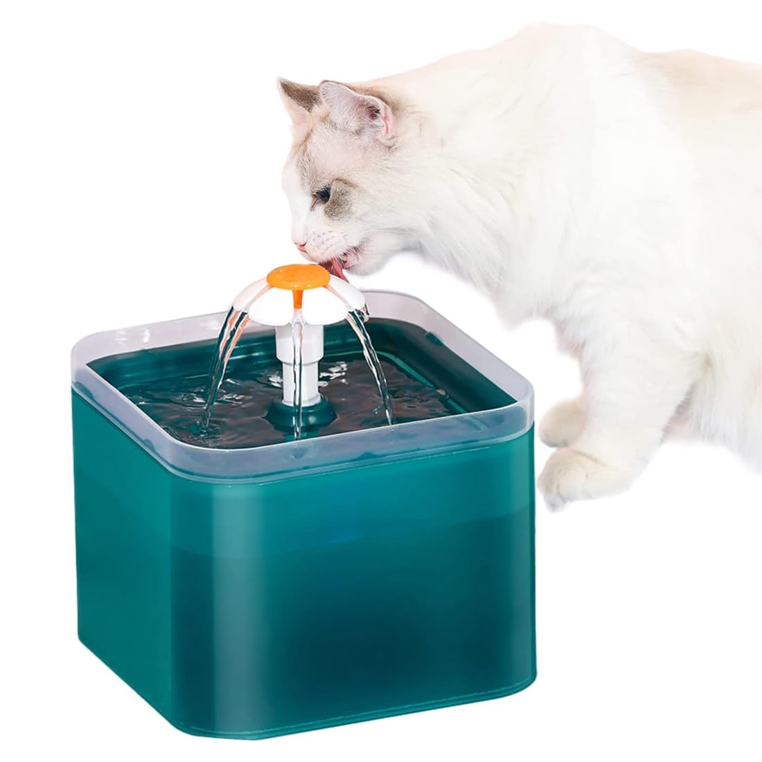 Fuente para Gatos - Bebedero Gatos Ultra silenciosa, Fuente Gatos [2L] con luz LED - Fuente Agua Gatos - Filtro + Bomba de Agua - Dispensador automático de Agua Potable para Gatos y Perros