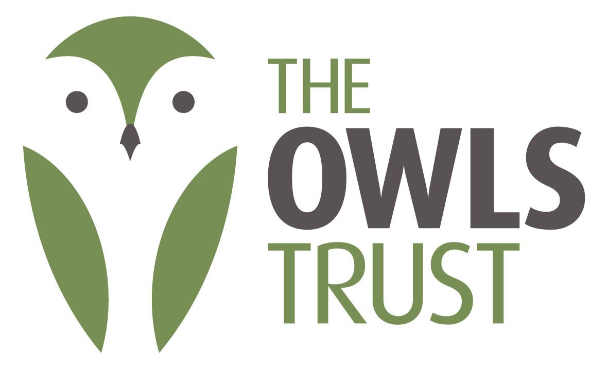 VISUALIZE TRILINE Golf Ball Marker Alignment and Identification Kit