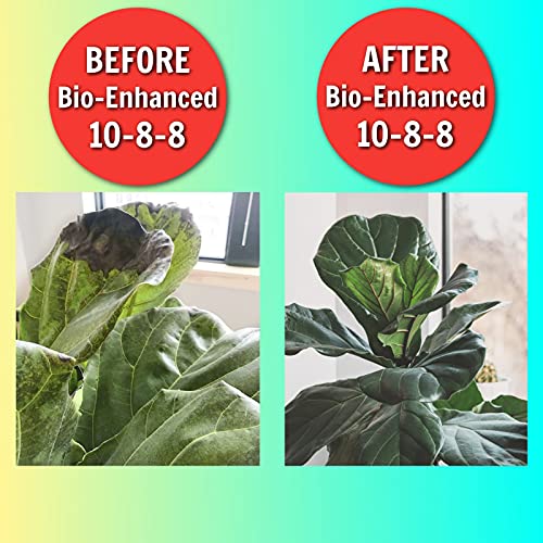 Best Non Toxic Lawn Fertilizers Top Picks