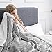 IR Imperial Rooms Sherpa Fleece Throw Blanket Twin Size for Couch - Thick and Warm Fluffy Blankets for Winter, Soft and Fuzzy Twin Blanket for Bed and Sofa, Light Grey, 60x80 Inches
