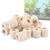 Accélère le remplacement des nutriments : améliorez les bienfaits des plantes aquatiques saines avec nos poids de plantes d'aquarium. Notre design spécial de trou favorise la circulation de l'oxygène et accélère le remplacement des nutriments pour une croissance florissante des plantes