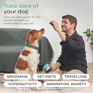 Calming-Chews-for-Dogs-Hemp-Calming-Chews-for-Dog-Anxiety-Relief-Dog-Calming-Treats-for-Anxiety-Relief-Calming-Treats-for-Dogs-Anxiety-Relief-Stress-Separation-Storms-with-Hemp-Seed-Oil - Cucciolini Doodles   Calming-Chews-for-Dogs-Hemp-Calming-Chews-for-Dog-Anxiety-Relief-Dog-Calming-Treats-for-Anxiety-Relief-Calming-Treats-for-Dogs-Anxiety-Relief-Stress-Separation-Storms-with-Hemp-Seed-Oil