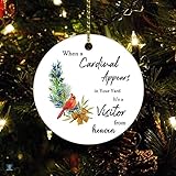Ornement Thanksgiving Noël cadeaux de condoléances ornement cadeau de Noël quand un oiseau rouge apparaît dans votre cour, c'est un visiteur du paradis Décoration de Noël Ornement de vacances Cadeau