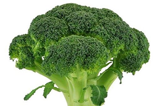 PlantaZee Vani Impex Greenback Imported Broccoli - 100 Seeds Pack (B071ZGGWYG) Amazon Price History, Amazon Price Tracker