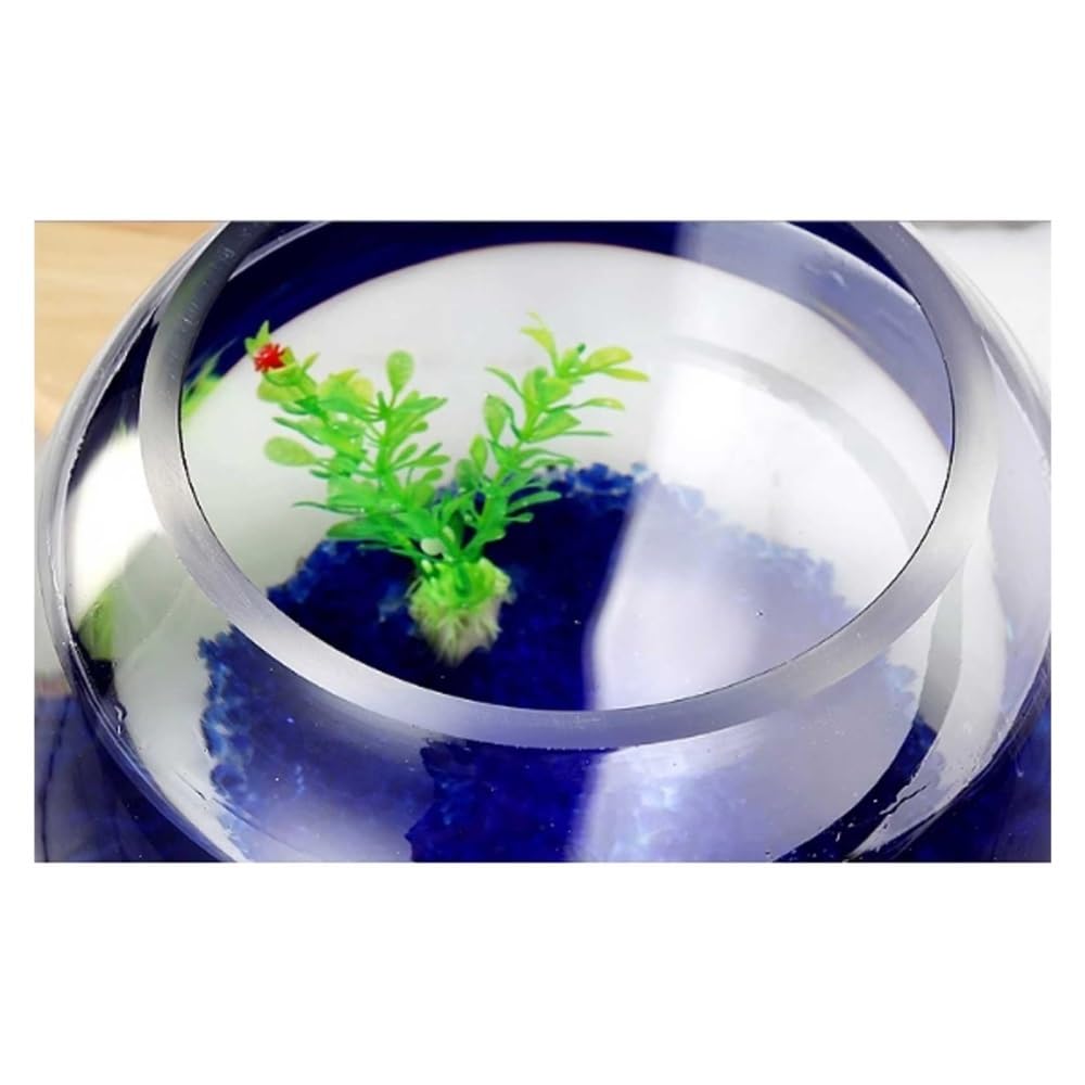 Aquarium Rundes, verdicktes, transparentes Glas-Aquarium for den Schreibtisch, rund, Goldfisch-Aquarium, dekoratives Wohnzimmer-Ornament(30cm)