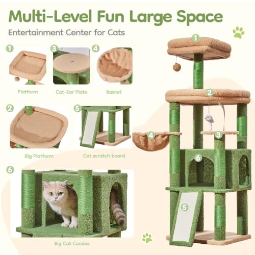 Image of Taoqimiao Sturdy Cat Tree, Cat Tower for Indoor Cats, Extra-Large Platform | 58.7Inch, Widened Cat Condo with Large Scratch Board, Top Perch, 6 Scratching Posts, Soft Basket, Cat Toys, Cactus MS045ST
