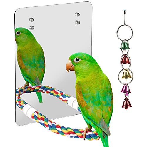 LOPERDEVE 10.6" Bird Mirror with Rope Perch Bird Toys Swing, Comfy Perch for Greys Amazons Parakeet Cockatiel Conure Lovebirds Finch Canaries