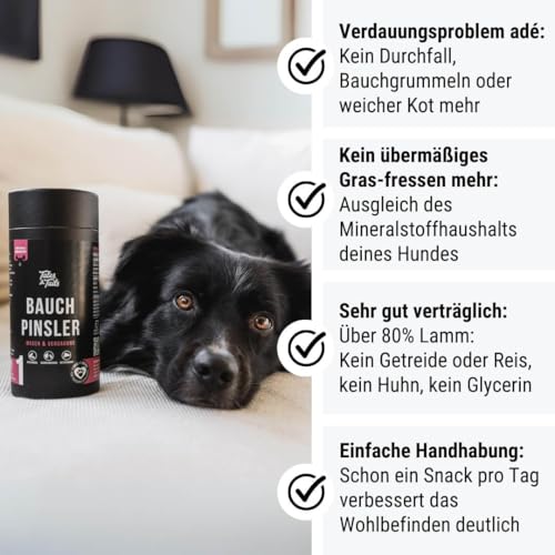 Tales & Tails - Bauchpinsler Verdauungs-Snack für Hunde | Für Allergiker Hunde | Getreidefrei | 1 Dose - 1 x 325g