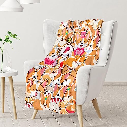 Corgi Blanket Gifts - 30"x40" Cute Throw for Adults, Kids - Colorful Soft Fuzzy Blankets for Couch & Office