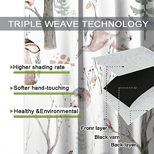 Gy Cartoon Space Blackout Curtains Rod Pocket Curtains,Watercolor Forest Animal Painting Fox Rabbit Cat Eagles Boys Girls Teen Window Curtains For Kitchen Living Room Bedroom Decor 42X45 Inch #TOP3