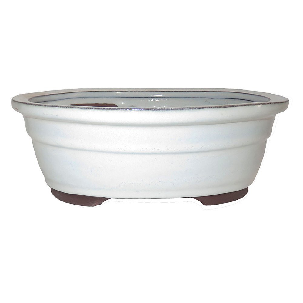 Brussels Bonsai 10 inch oval cream ceramic pot