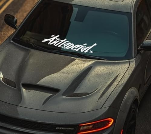 Antisocial Windshield Banner Decal, JDM Vinyl Car Sticker, Weather Resistant, White, 24 inches