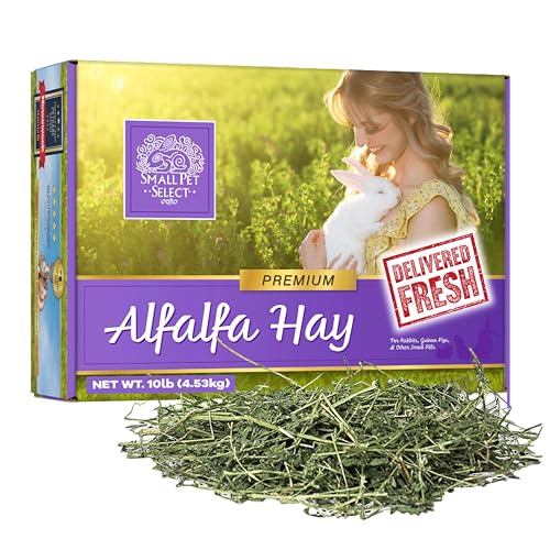 Small Pet Select Alfalfa Hay Pet Food for Young Rabbits, Guinea P...