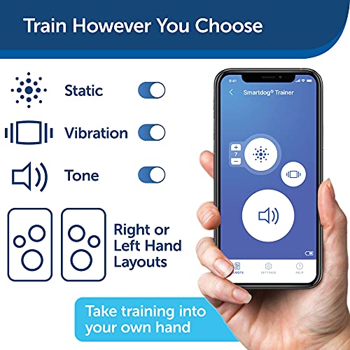 PetSafe SMART DOG Training Collar – Uses Smartphone as Handheld Remote Control – Tone, Vibration, 1-15 Levels of Static… - Image 3