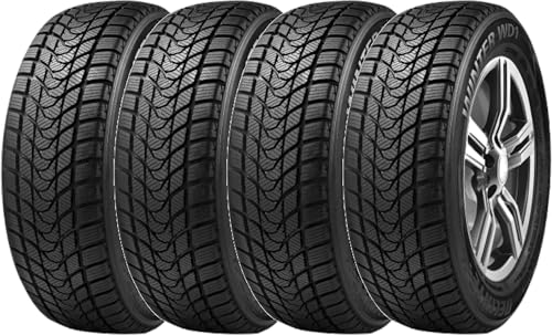 fe(DELINTE) 195/65R15 91H WINTER WD1 X^bhX^C 4{Zbg