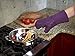 All Clad Textiles Deluxe Heat and Stain Resistant Oven Mitt. Made of Silicone Treated Heavyweight 100-Percent Cotton Twill, Machine Washable, 14 x 6.5 Inches, Plum Purple