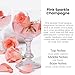 HoogaLife Car Air Freshener Diffuser 2 Pack Hanging Air Freshener Diffuser - Pink Sparkle Champagne Fragrance Oil Air Diffuse r for Car, 45+ Days Long Lasting Fragrance Made in USA (P38)