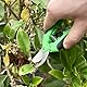 Chiluxendo 2 Stücke Gartenschere Klein, Rosenschere Profi, Pflanzenschere Rosen, Blumenschere Gartenscheren, Gartenscheere Feinschnitt, Schere Garten, Rosenscheren, Pruning Shears, Kleine Astschere