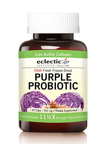 Eclectic InstitutePurple Probiotic, 300 mg, 90 Caps