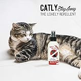 Catly B07846R62T lato 4