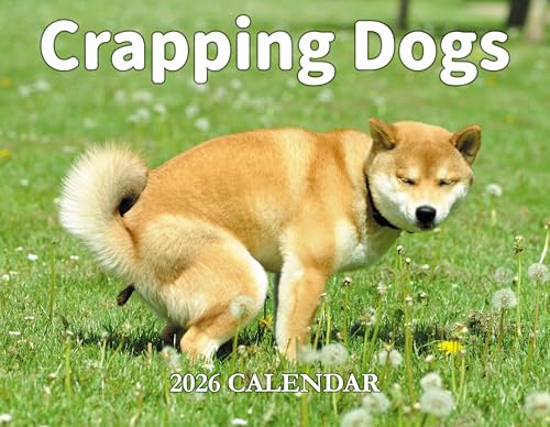 2026 Calendar - Gag Gifts, 2026 Wall Calendars JAN 2026
