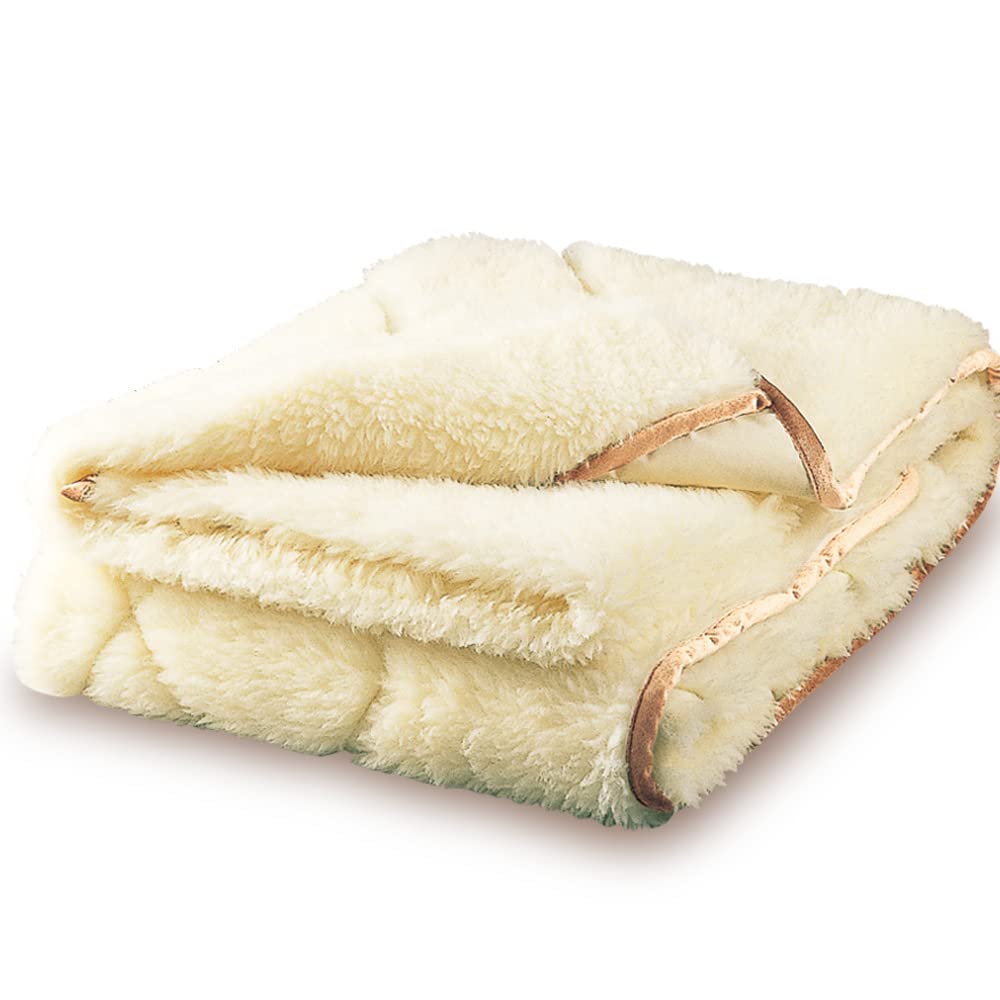 Amazon.co.jp: The PREMIUM Sofwool 掛け毛布 S(シングル) : ホーム 