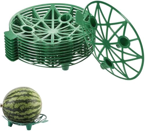 yWEIPIAOV^10/20/30 zXCJ}bg XCJ}bg C`ST|[g | x }bg ͔| sh a19.5cm ʕ͔|gC ςݏdˉ\ ϋv ی ėp\ J{` }XN O  ؗp 