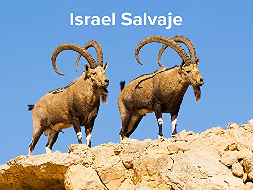 Israel Salvaje
