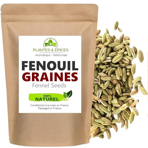 Plantes & Epices - Graines de Fenouil Entières 100% naturel - Sachet Fraîcheur Biodégradable Refermable (100g)