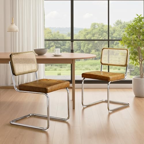 Zouron - Juego de 2 Sillas de Cocina, Silla de Comedor, Estilo Moderno, Sillas de Cocina sin Brazos con Respaldo de Ratán Tejido, Pies de Metal, Marrón