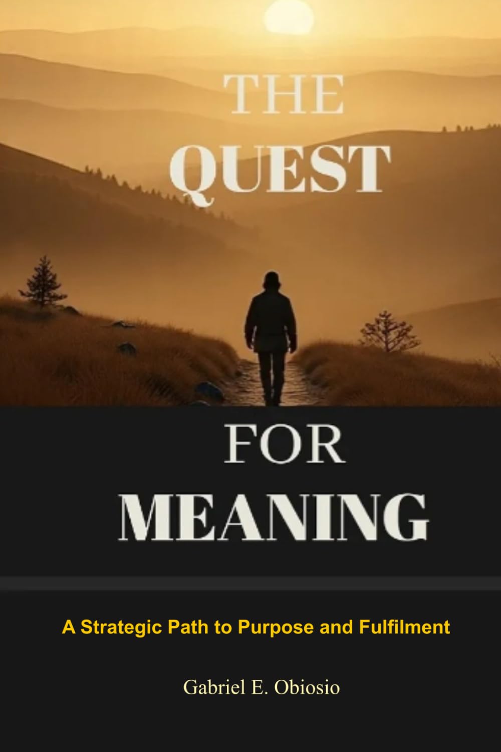 The Quest for Meaning: A Strategic Path to Purpose and Fulfilment