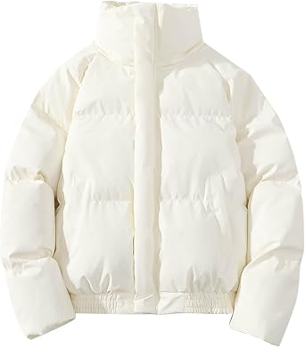 Mens Cropped Puffer Jackets Full Zip Stand Collar Quilted Down Coat Short Warm Thicken Winter Puffy Jacket Outwear