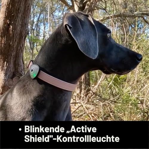 Max & Molly Soundshield – Ultraschall-Clip für Hunde jeder Größe – Orange | geräuschlos & chemiefrei, an Halsband oder Geschirr befestigbar