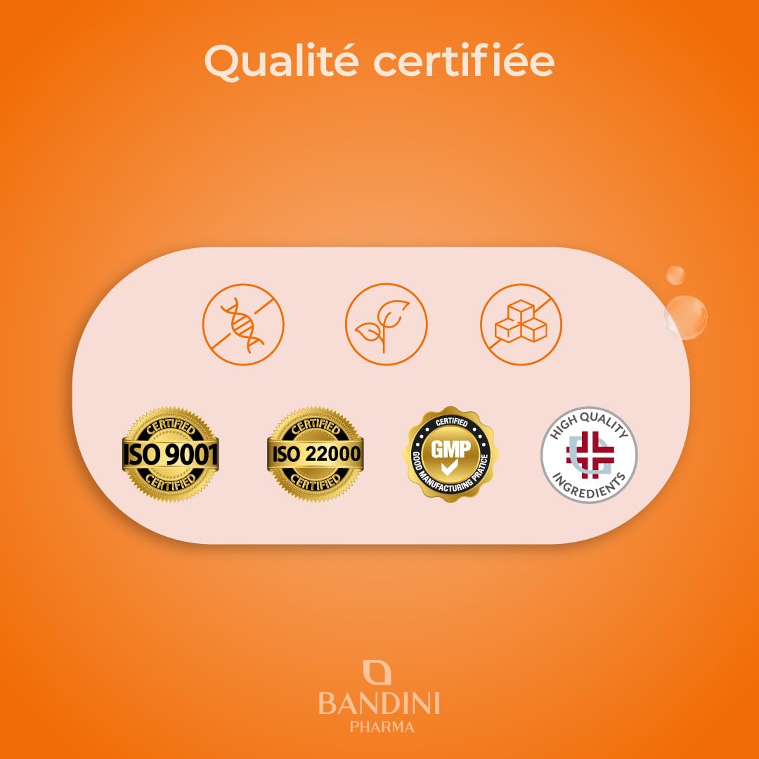 Bandini® Coenzyme Q10 200 mg 120 Gélules (4 Mois) – Puissant Antioxydant Naturel - Protecteur Anti-Age - Co Q 10 Fortement Dosé Vegan – Coq10 Ubiquinone à Haute Biodisponibilité - Absorption Maximale