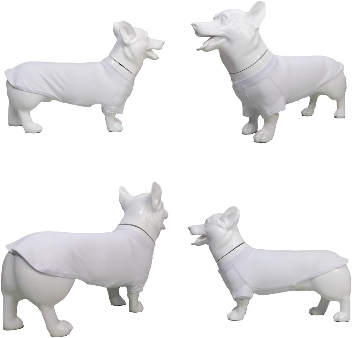 51jLRnRrIOL. AC SL1200