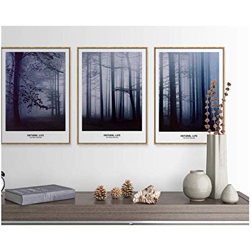 Cuadros de misty forest moderno 50x70cm sin marco para decoracion 2