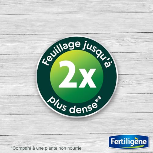 Engrais Performance Organics Fertiligène résultats rapides guano - 6