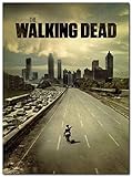 The Walking Dead TV Series Poster (13 x 19 inch / 33 x 48 cm) Unframed Display Ready Photo Print