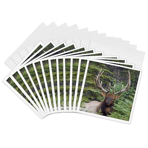 Cartes de vœux wapiti 3dRose pour éviter les pannes d'idées de cartes