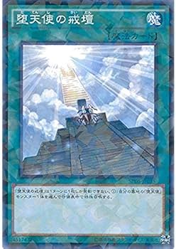 Amazon.co.jp: 遊戯王OCG 堕天使の戒壇 パラレル仕様 SPDS-JP035-P 遊