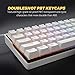 immagine 2KEMOVE Snowfox DK61 60% Tastiera meccanica da gioco senza fili/cablato Bluetooth 5. 1 Hot Swappable RGB Retroilluminato PBT Tasti Pieni Programmabili per Win/Mac (Interruttore Giallo Gateron)