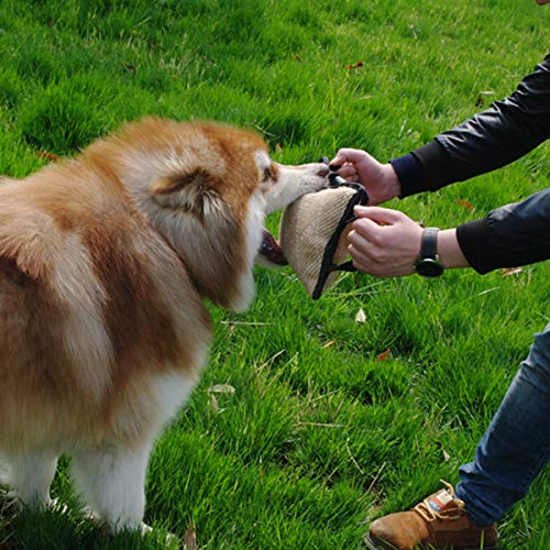 SOONHUA Beißkissen für Hunde mit 3 Griffen, Hundetraining, Zerrspielzeug für junge Hunde, zum Trainieren und Spielen