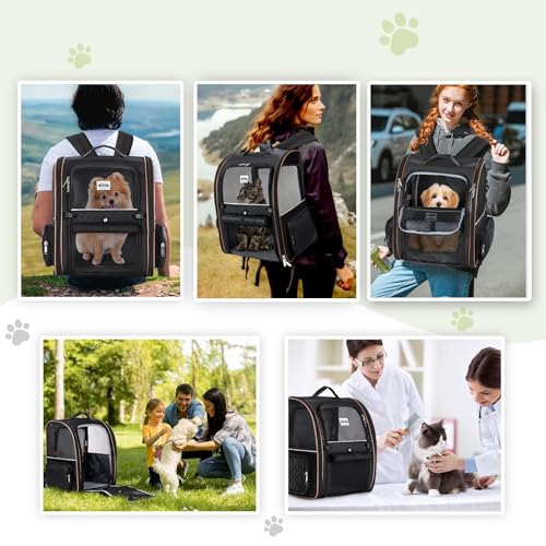 Lekespring Erweiterbar Katzenrucksack Hunderucksack für Katzen Hunde bis 8kg, Groß Katzen Rucksack Faltbare Haustier Rucksack, Schwarz