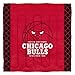 Northwest NBA Chicago Bulls Unisex-Adult Comforter and Sham Set, Full/Queen, Reverse Slam