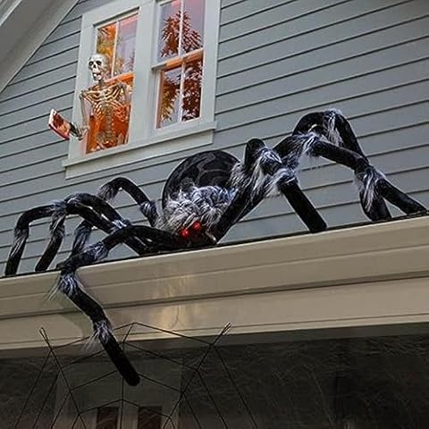 Araignée Halloween btuopBESS F#160cm Cover