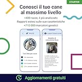 Zoom IMG-1 koko genetics dna test per Zoom IMG-1 koko genetics dna test per