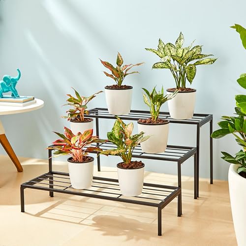 Image of Amazon Brand - Solimo Metal Plant Stand (Set of 3, Black) - Heavy-Duty, Rust-Resistant Iron Rack, Indoor & Outdoor Use, 25.5 x 70 x 38cm, Supports 60 kg per Shelf